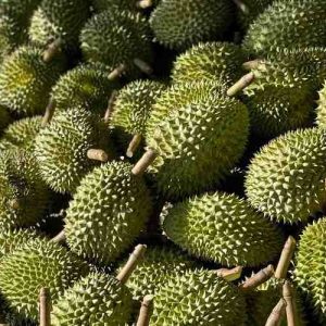 sầu riêng ri6 long khánh